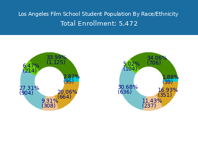 Los Angeles Film School 2025 Student Population by Gender and Race chart