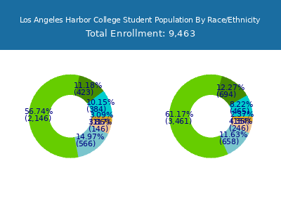 Los Angeles Harbor College 2025 Student Population by Gender and Race chart