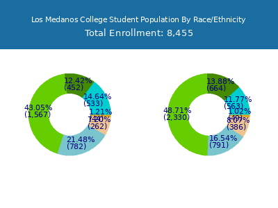 Los Medanos College 2025 Student Population by Gender and Race chart