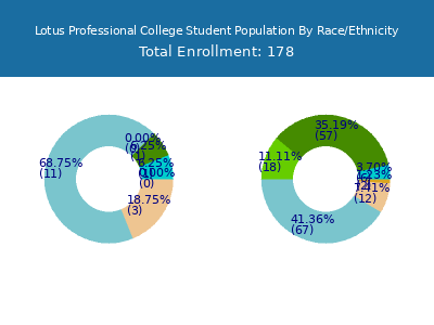 Lotus Professional College 2025 Student Population by Gender and Race chart