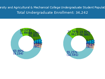 Louisiana State University and Agricultural & Mechanical College 2025 Undergraduate Enrollment by Gender and Race chart