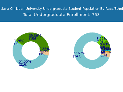 Louisiana Christian University 2025 Undergraduate Enrollment by Gender and Race chart