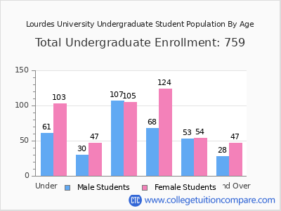 Lourdes University 2024 Undergraduate Enrollment by Age chart
