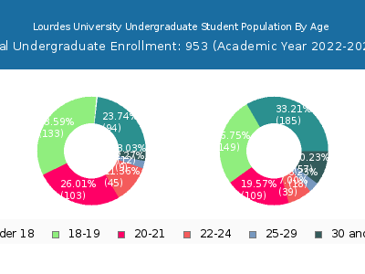 Lourdes University 2023 Undergraduate Enrollment Age Diversity Pie chart