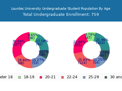 Lourdes University 2024 Undergraduate Enrollment Age Diversity Pie chart