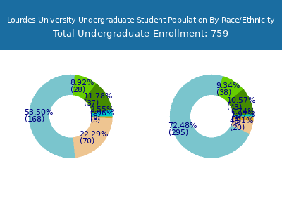 Lourdes University 2025 Undergraduate Enrollment by Gender and Race chart