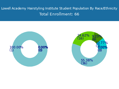 Lowell Academy Hairstyling Institute 2025 Student Population by Gender and Race chart