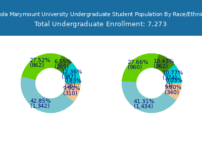 Loyola Marymount University 2025 Undergraduate Enrollment by Gender and Race chart