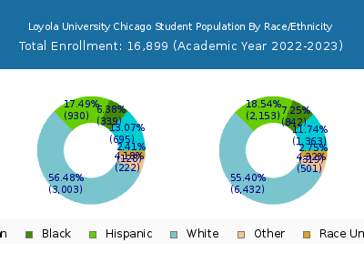 Loyola University Chicago 2023 Student Population by Gender and Race chart