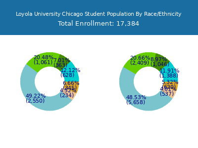 Loyola University Chicago 2025 Student Population by Gender and Race chart