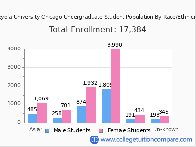Loyola University Chicago 2025 Undergraduate Enrollment by Gender and Race chart