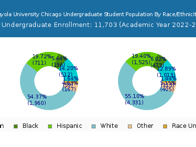 Loyola University Chicago 2023 Undergraduate Enrollment by Gender and Race chart