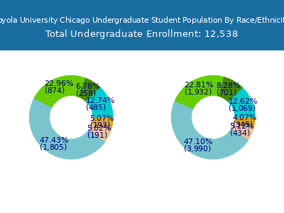 Loyola University Chicago 2025 Undergraduate Enrollment by Gender and Race chart