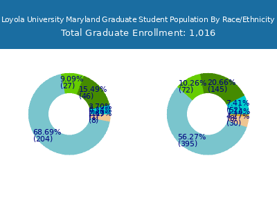 Loyola University Maryland 2025 Graduate Enrollment by Gender and Race chart
