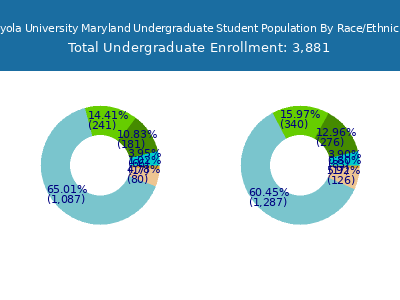 Loyola University Maryland 2025 Undergraduate Enrollment by Gender and Race chart