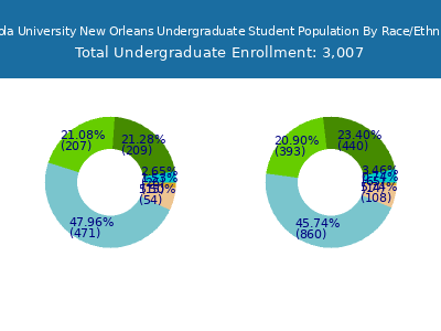 Loyola University New Orleans 2025 Undergraduate Enrollment by Gender and Race chart