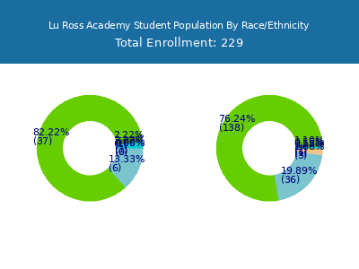 Lu Ross Academy 2025 Student Population by Gender and Race chart