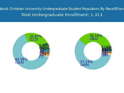 Lubbock Christian University 2025 Undergraduate Enrollment by Gender and Race chart