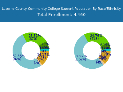 Luzerne County Community College 2025 Student Population by Gender and Race chart