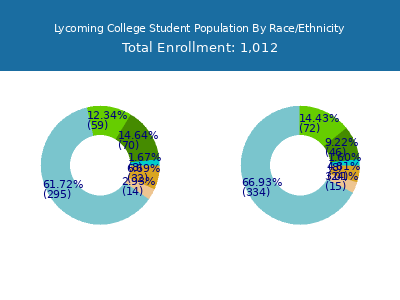 Lycoming College 2025 Student Population by Gender and Race chart