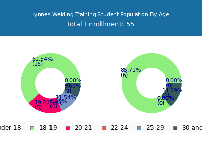 Lynnes Welding Training 2024 Student Population Age Diversity Pie chart