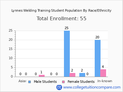 Lynnes Welding Training 2025 Student Population by Gender and Race chart
