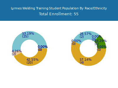 Lynnes Welding Training 2025 Student Population by Gender and Race chart