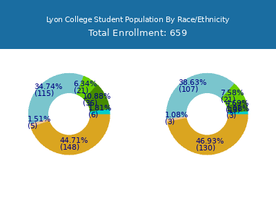 Lyon College 2025 Student Population by Gender and Race chart