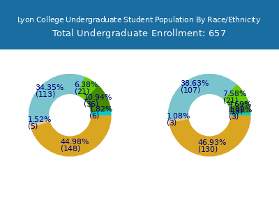 Lyon College 2025 Undergraduate Enrollment by Gender and Race chart