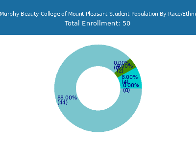 M J Murphy Beauty College of Mount Pleasant 2025 Student Population by Gender and Race chart