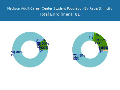 Madison Adult Career Center 2025 Student Population by Gender and Race chart