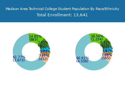 Madison Area Technical College 2025 Student Population by Gender and Race chart
