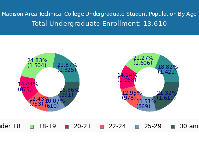 Madison Area Technical College 2025 Undergraduate Enrollment Age Diversity Pie chart