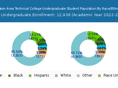 Madison Area Technical College 2023 Undergraduate Enrollment by Gender and Race chart