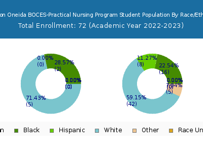 Madison Oneida BOCES-Practical Nursing Program 2023 Student Population by Gender and Race chart