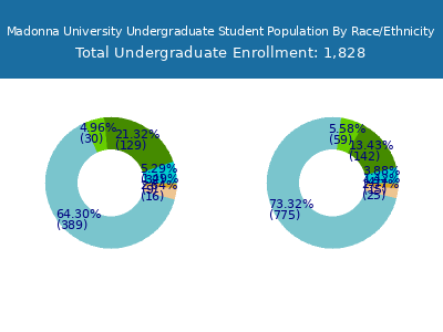 Madonna University 2025 Undergraduate Enrollment by Gender and Race chart