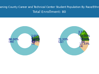 Mahoning County Career and Technical Center 2025 Student Population by Gender and Race chart