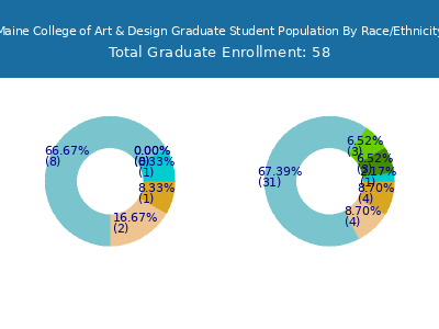 Maine College of Art & Design 2025 Graduate Enrollment by Gender and Race chart