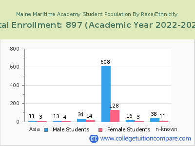 Maine Maritime Academy 2023 Student Population by Gender and Race chart
