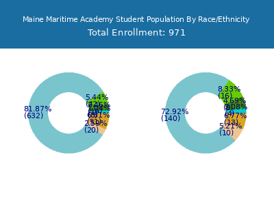 Maine Maritime Academy 2025 Student Population by Gender and Race chart