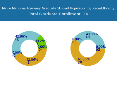 Maine Maritime Academy 2025 Graduate Enrollment by Gender and Race chart