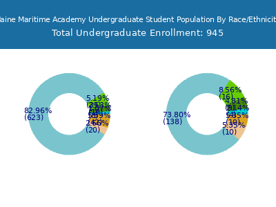 Maine Maritime Academy 2025 Undergraduate Enrollment by Gender and Race chart