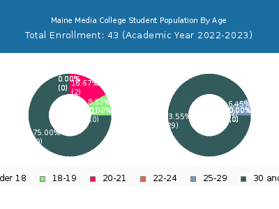 Maine Media College 2023 Student Population Age Diversity Pie chart