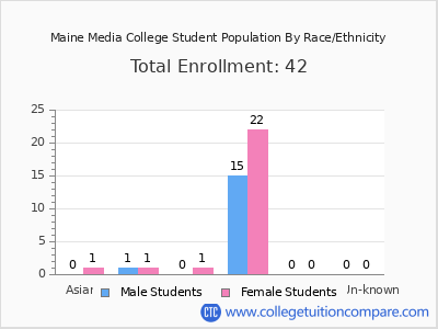 Maine Media College 2025 Student Population by Gender and Race chart