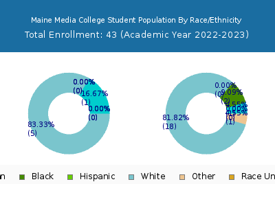 Maine Media College 2023 Student Population by Gender and Race chart