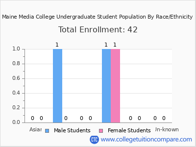 Maine Media College 2025 Undergraduate Enrollment by Gender and Race chart