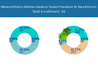 Makana Esthetics Wellness Academy 2025 Student Population by Gender and Race chart