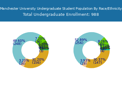 Manchester University 2025 Undergraduate Enrollment by Gender and Race chart