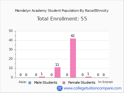Mandalyn Academy 2025 Student Population by Gender and Race chart