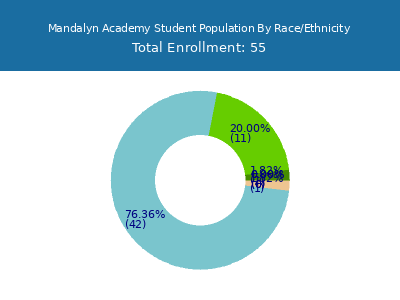 Mandalyn Academy 2025 Student Population by Gender and Race chart